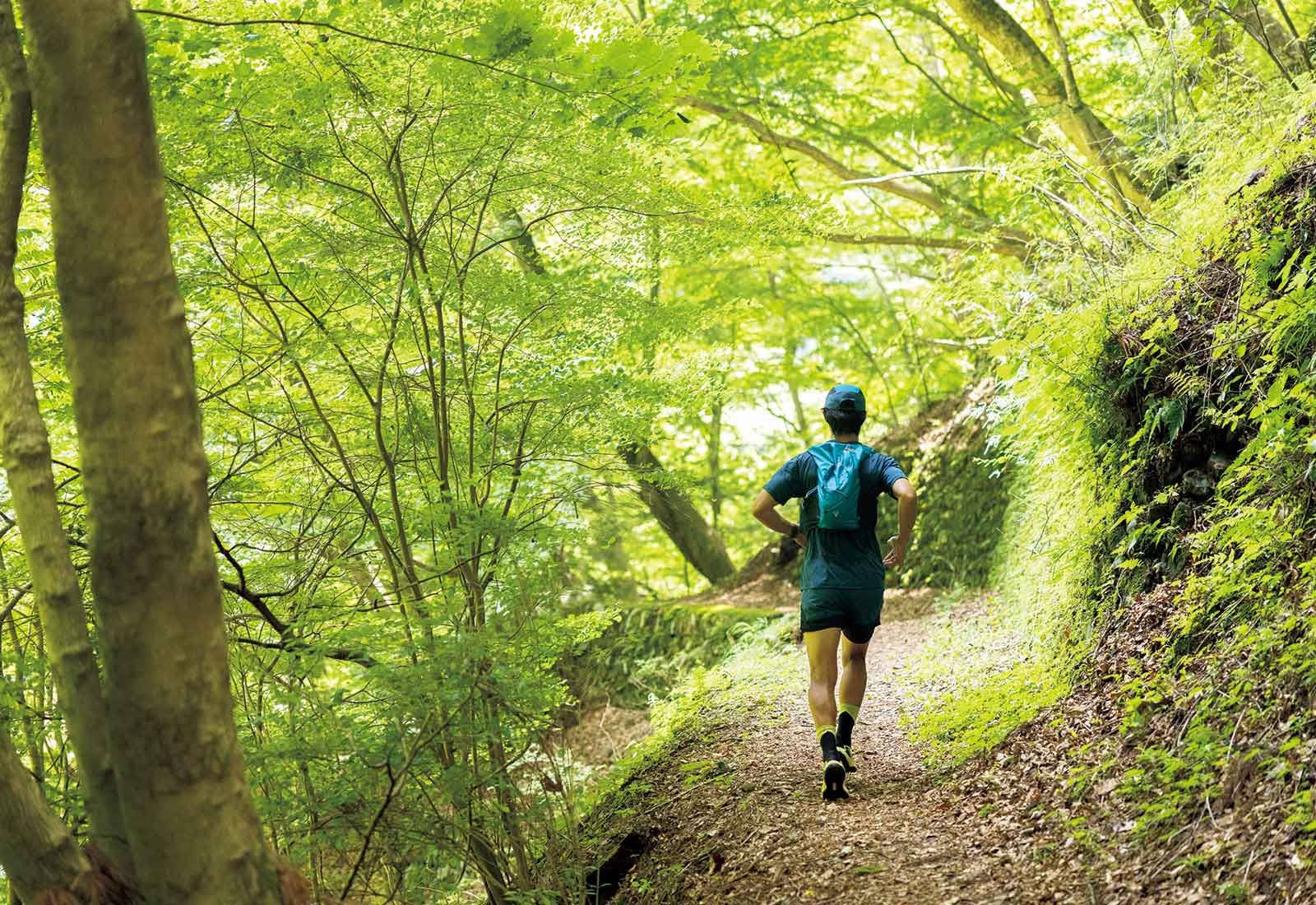 麦山浮橋と湖畔トレイル