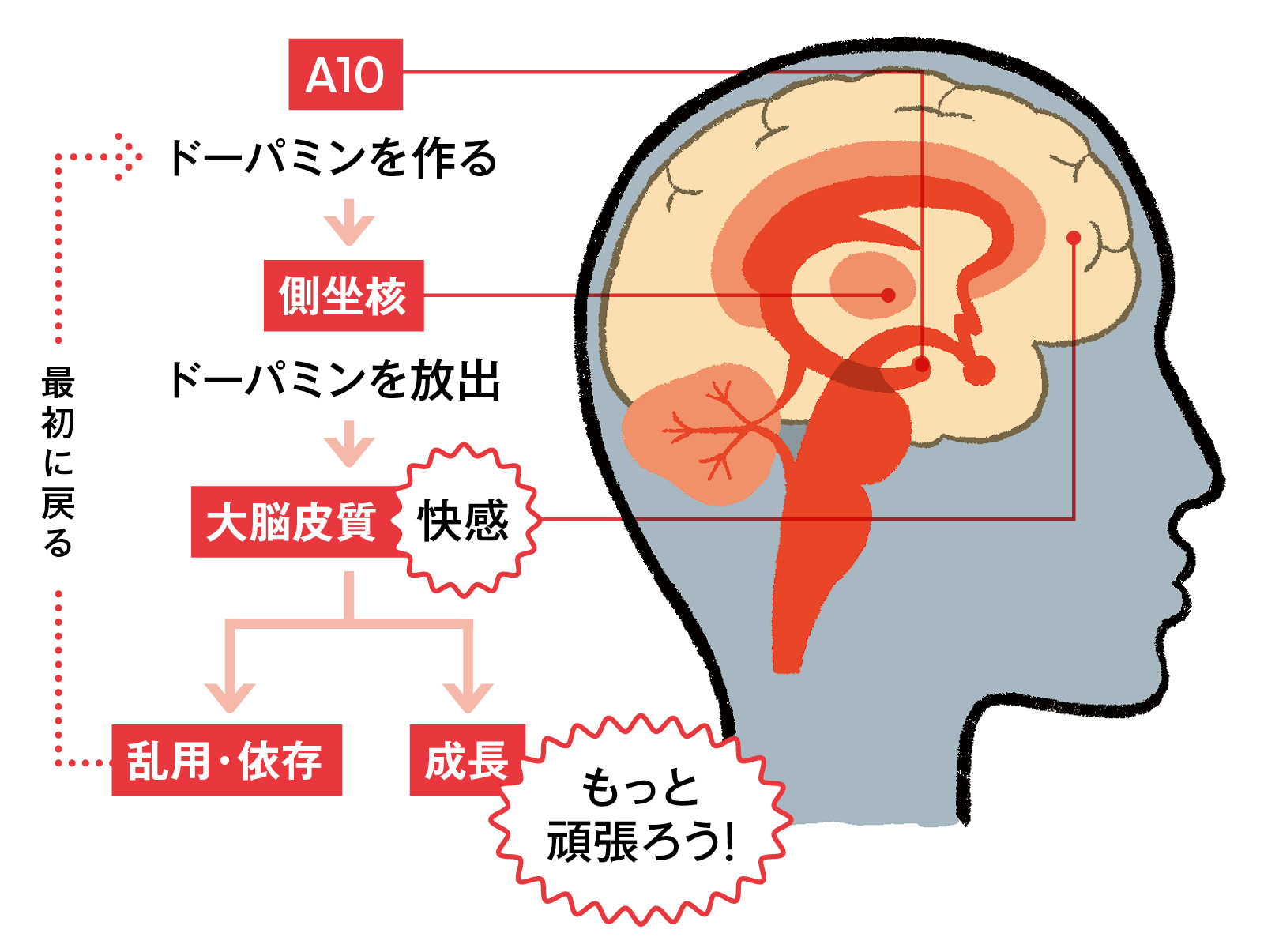 快感と依存のサイクル