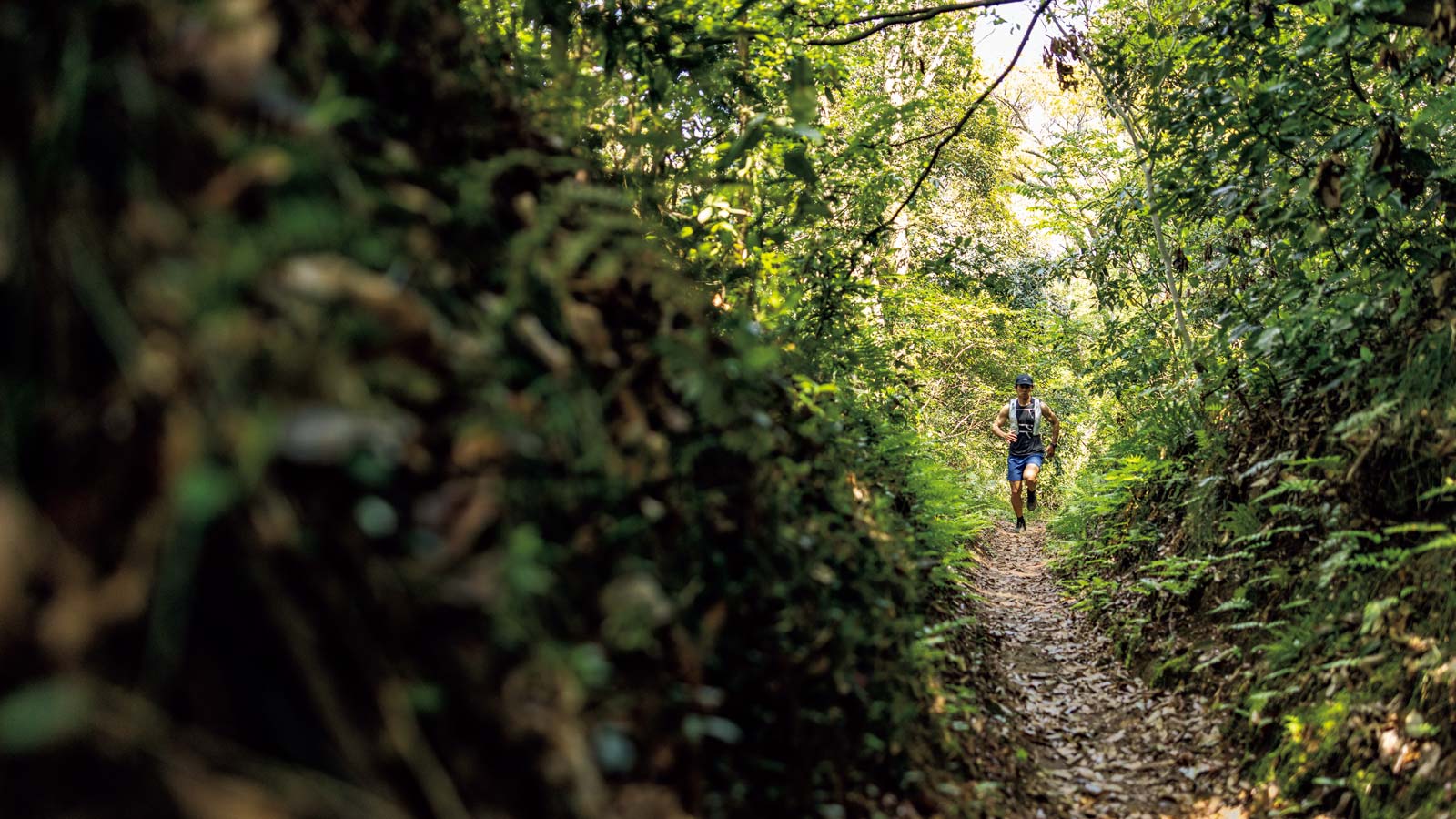 雑誌連載 Tarzan Trails 神奈川県［大丸山］トレイル GPSデータ（887号）