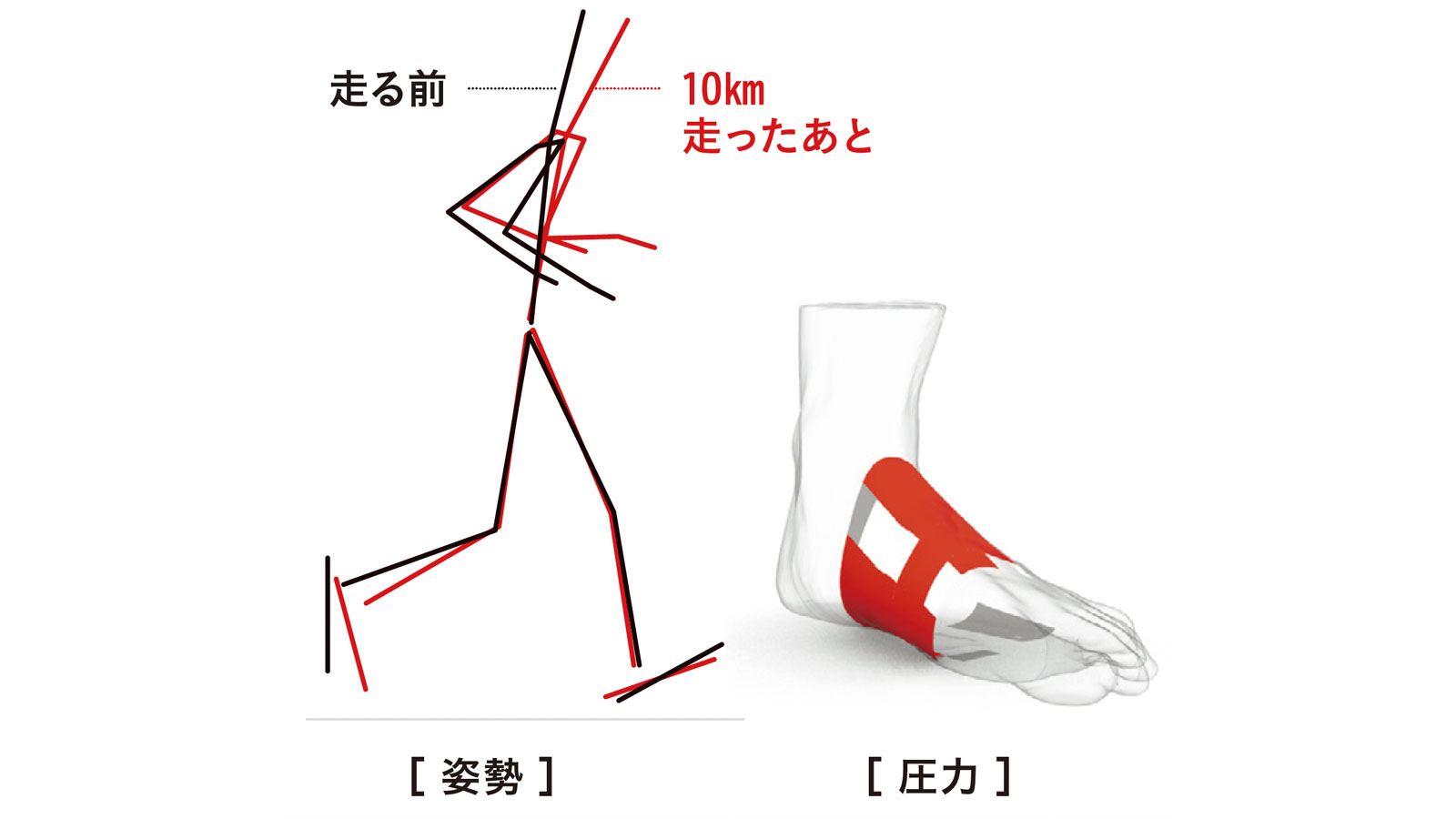 左：走ったことによる姿勢の変化の図　右：足のイラスト