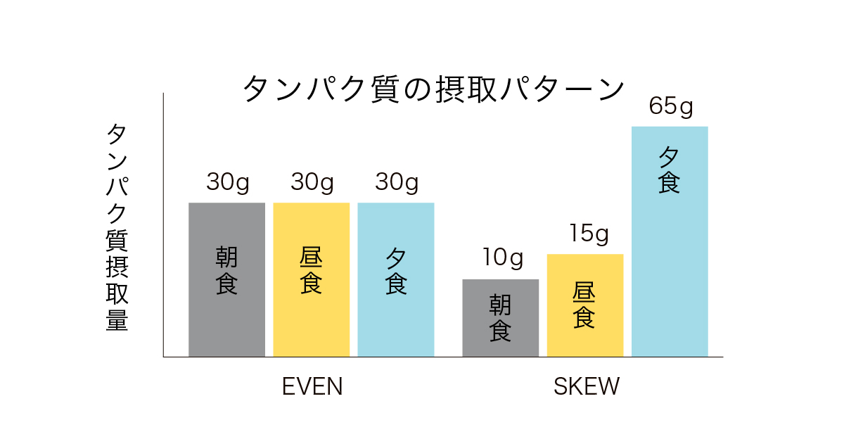 時間栄養学　タンパク質の摂取パターン