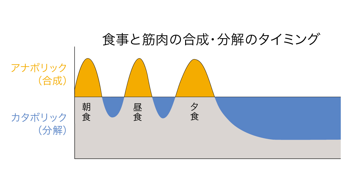 『眠れなくなるほど面白い 図解 たんぱく質の話』（日本文芸社）