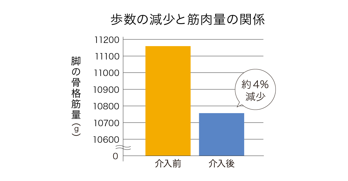 タンパク質　歩数の減少と筋肉量の関係