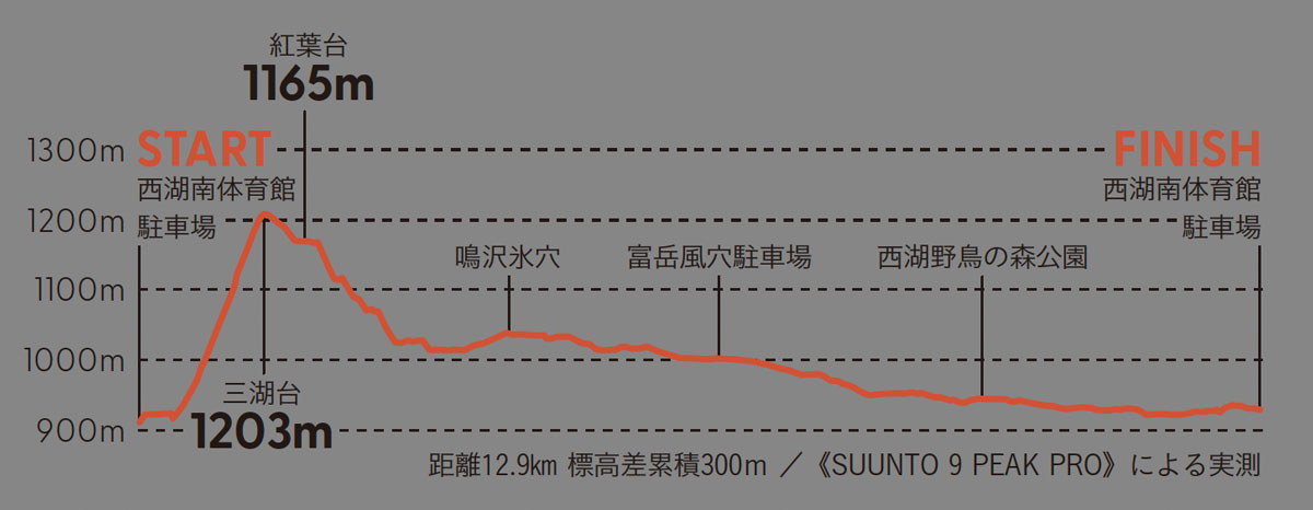 ［富士山樹海］トレイル  高低差