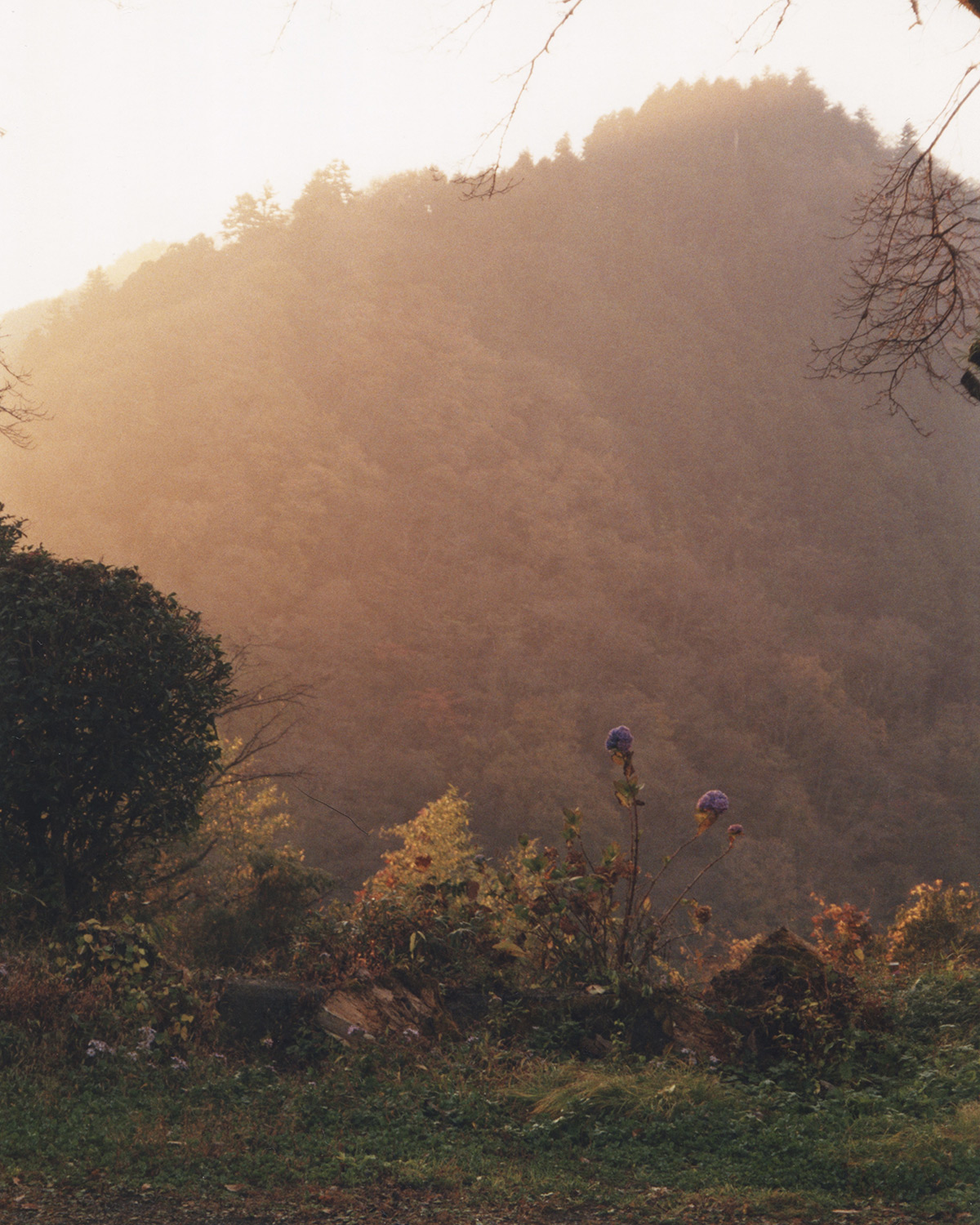 山の風景