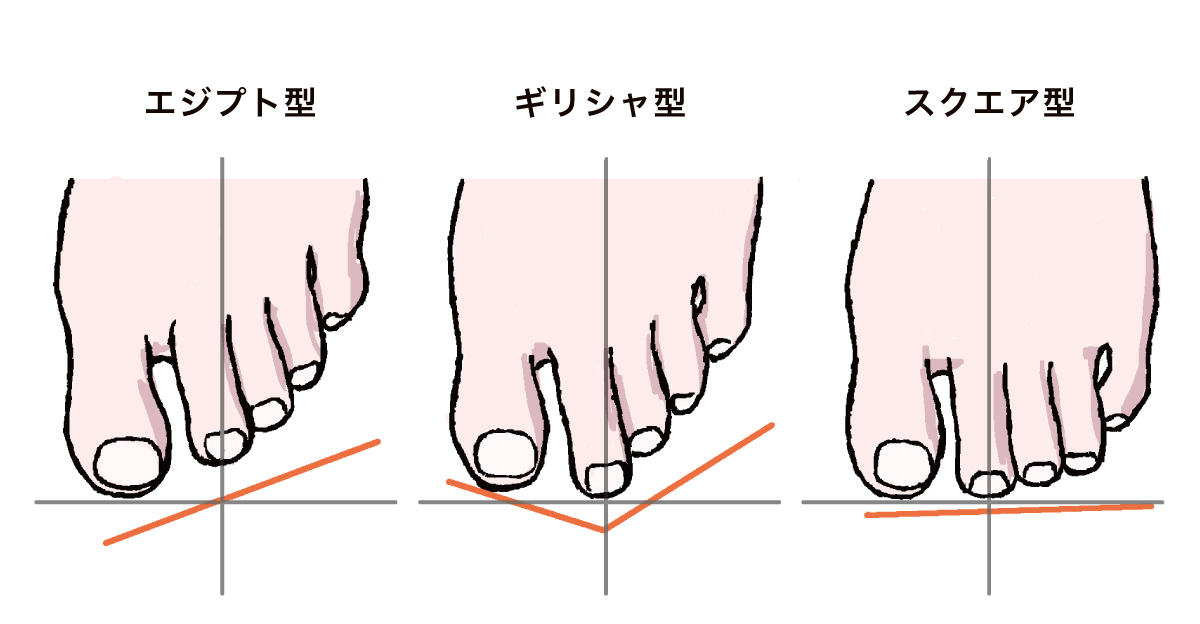 足の形状　エジプト型　ギリシャ型　スクエア型
