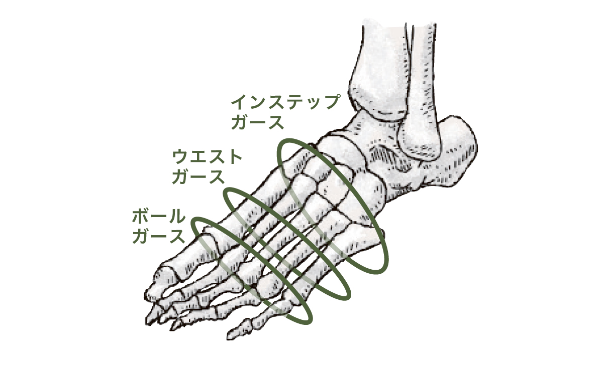 足周囲(ガース)