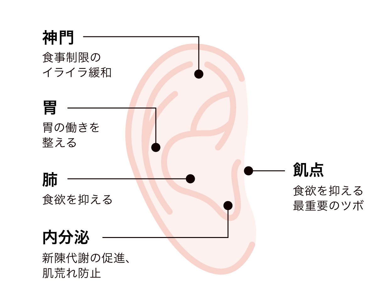 耳ツボ　押すべき５つのツボ