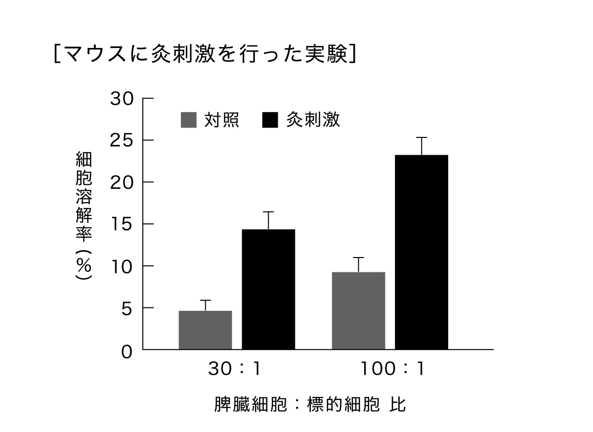 マウスに灸刺激をおこなった実験