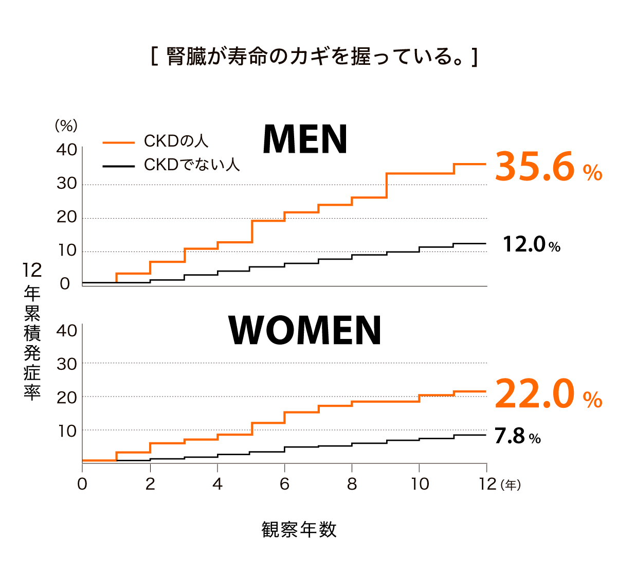 腎臓が寿命の鍵えを握っている