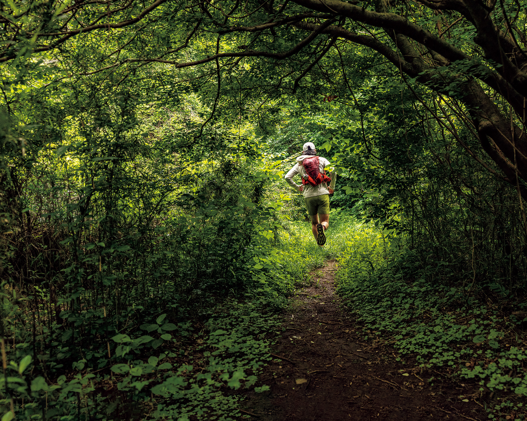 ウチサカさんのトレイル案内。神奈川県・静岡県［石川さんと湯河原の山。］