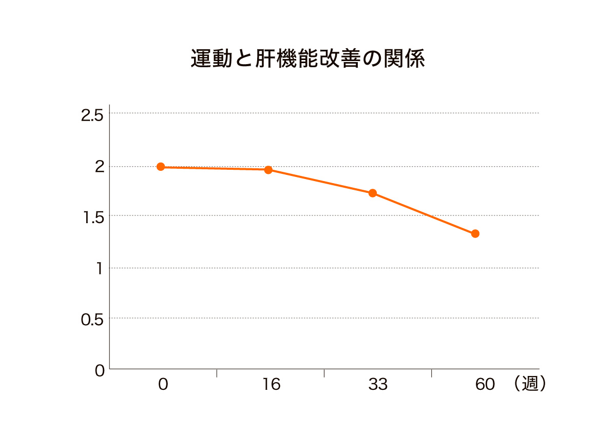 運動と肝機能改善の関係