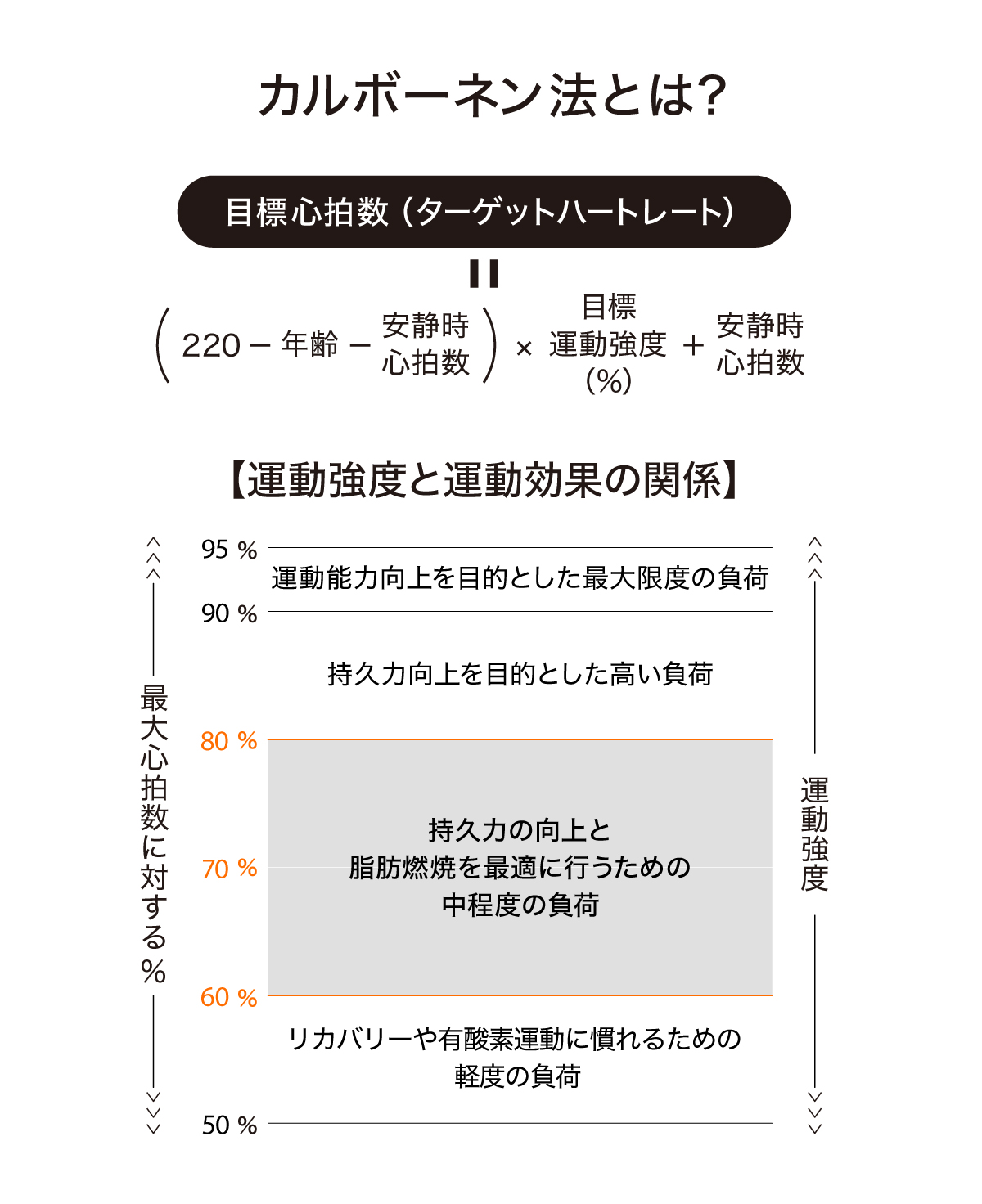 運動強度と運動効果の関係　カルボーネン法