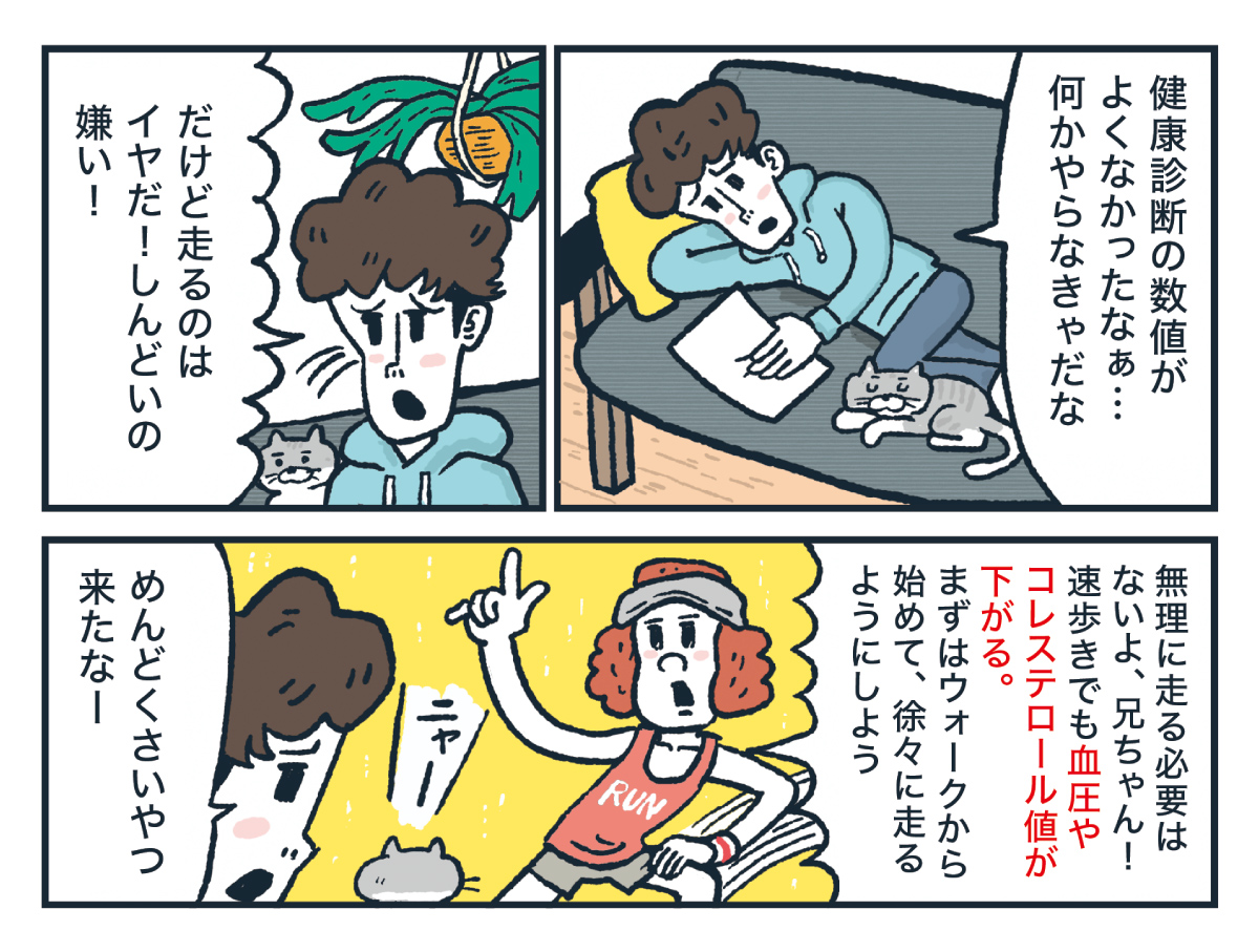 血圧やコレステロールが下がる