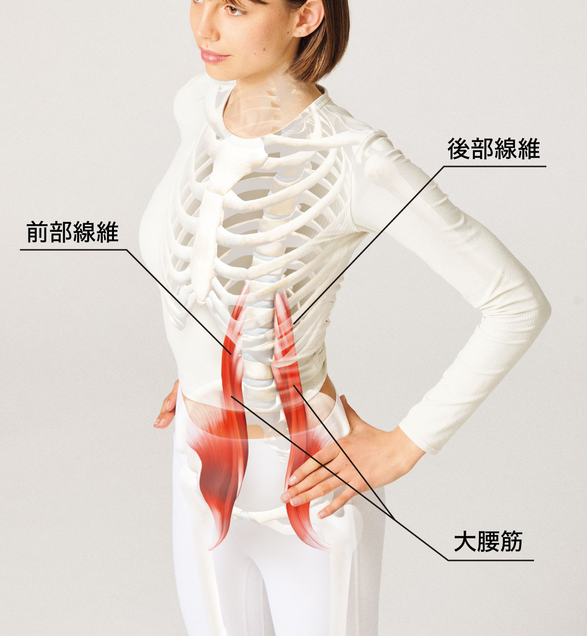 腸腰筋