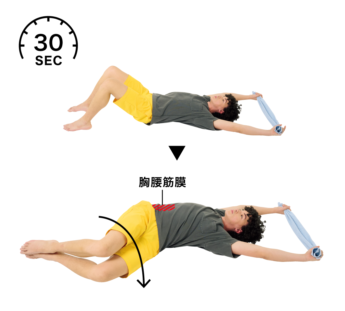 胸腰筋膜