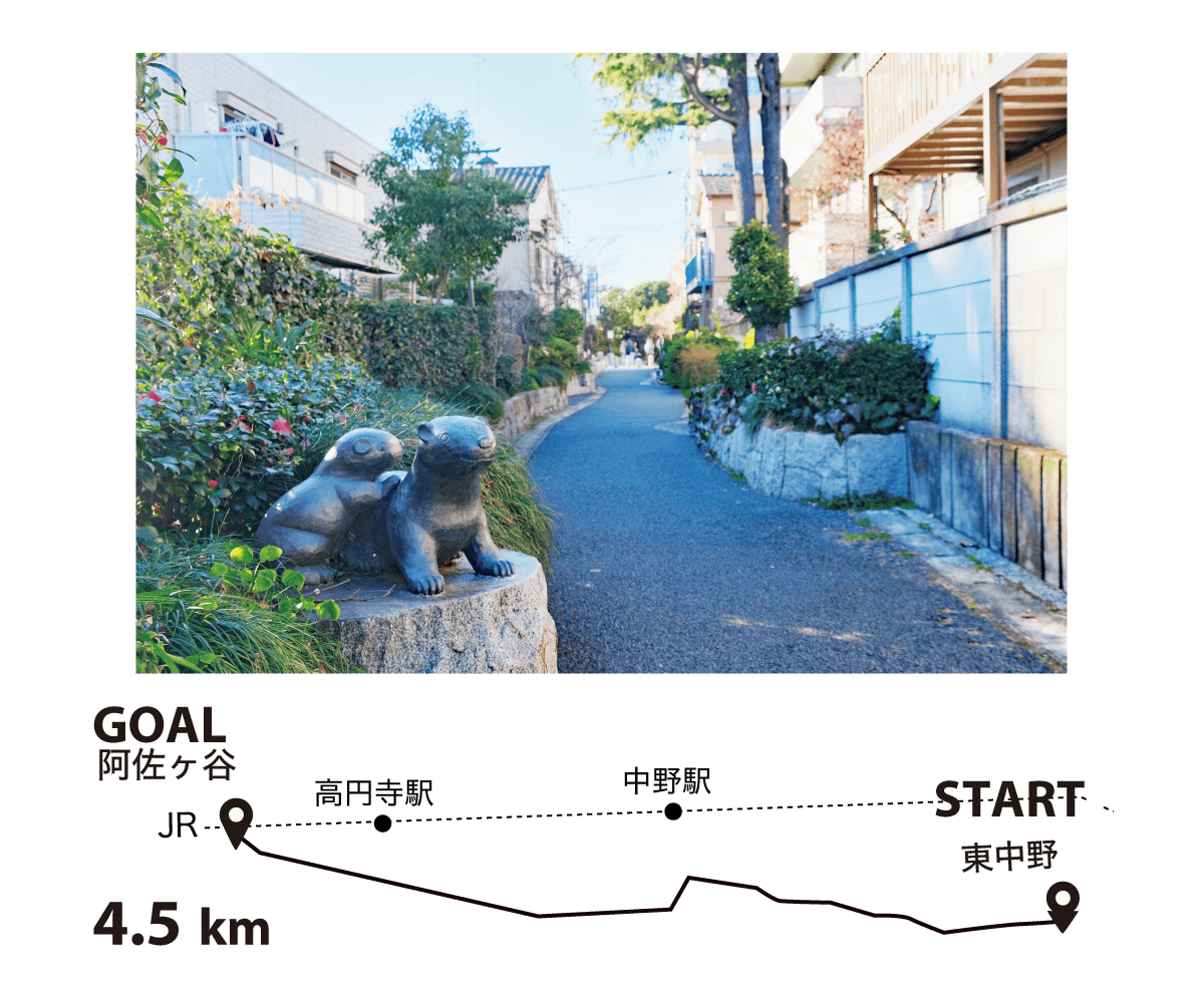 東京都杉並区　桃園川暗渠
