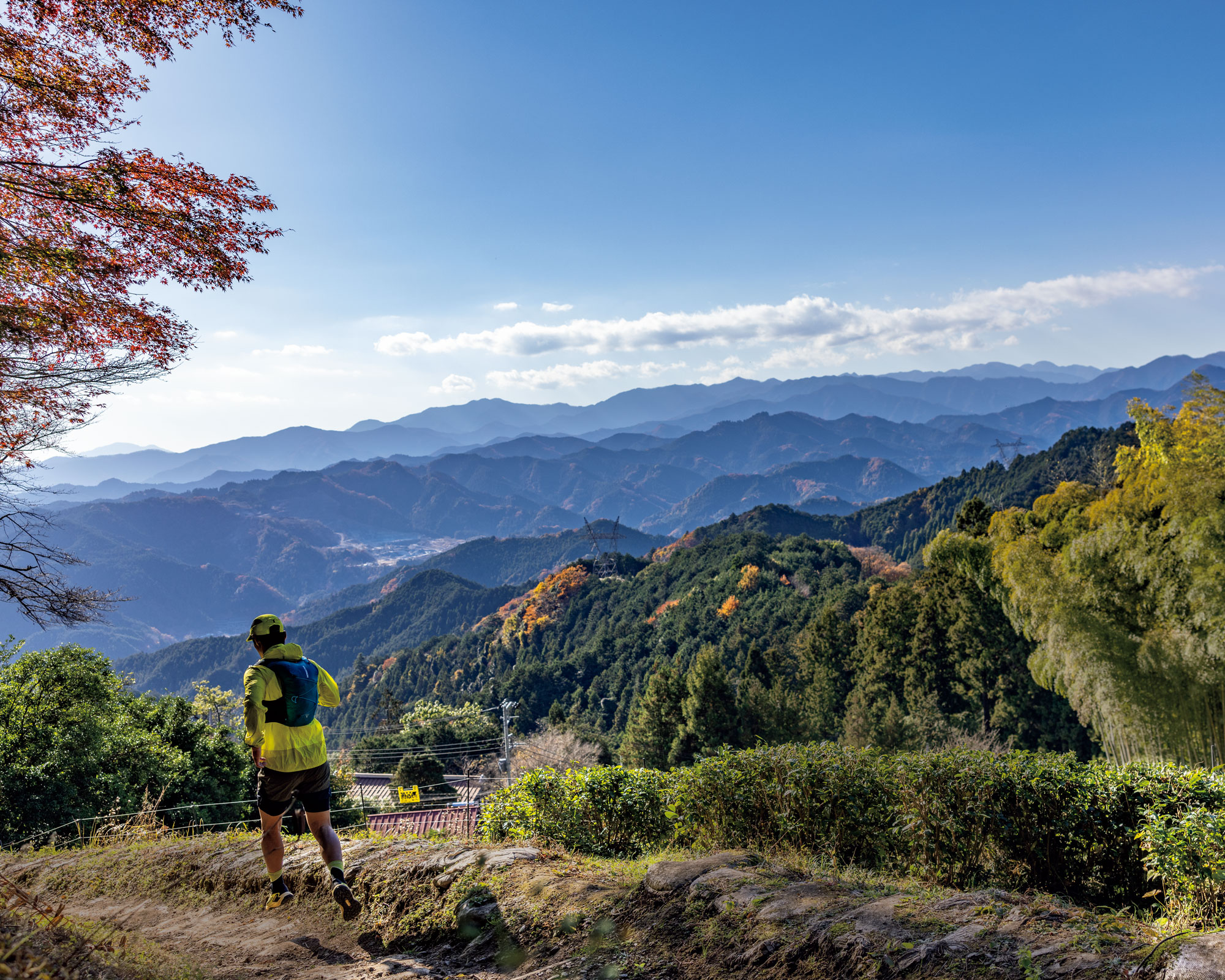 ウチサカさんのトレイル案内。埼玉県［蟹穴山から顔振峠］