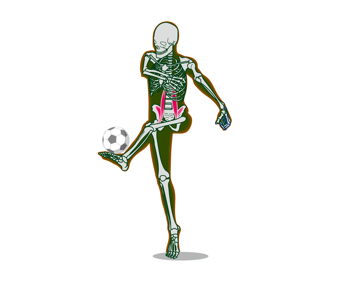 サッカーのキック動作