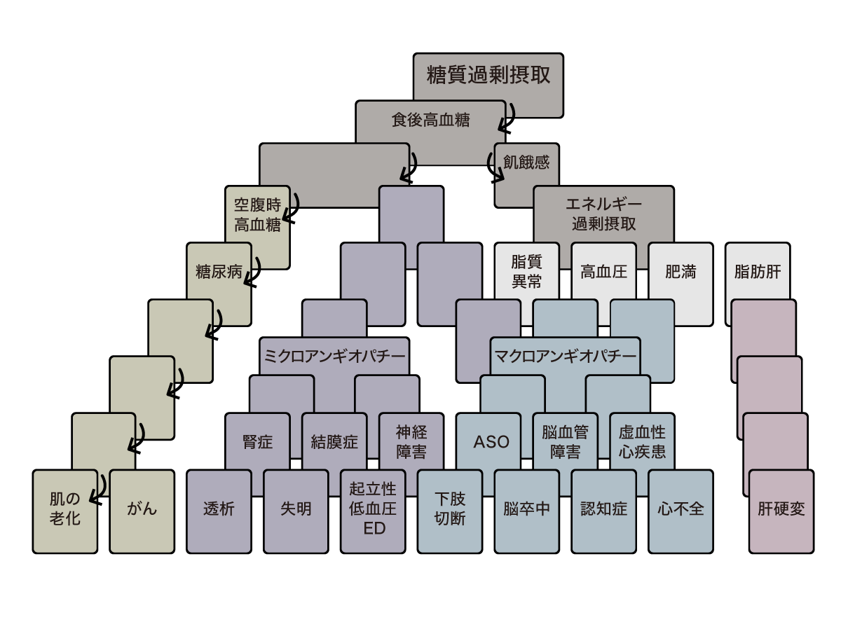 糖質過剰摂取からドミノ倒しで病気につながる