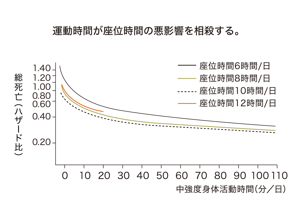 運動時間が座位時間の悪影響を相殺する
