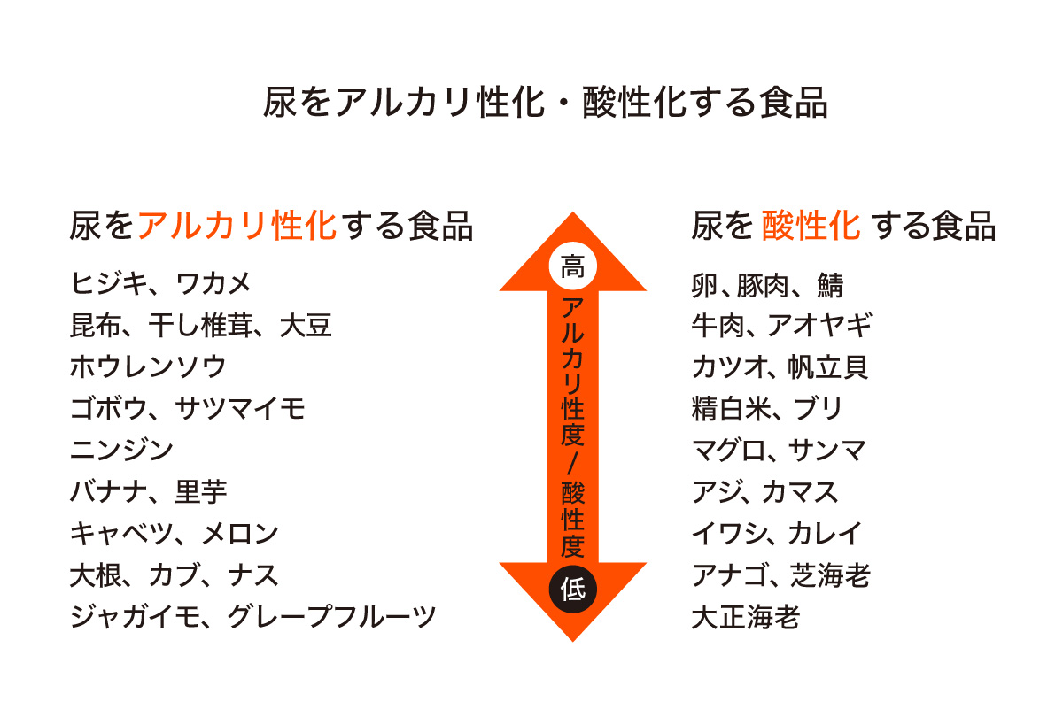 尿をアルカリ性化・酸性化する食品