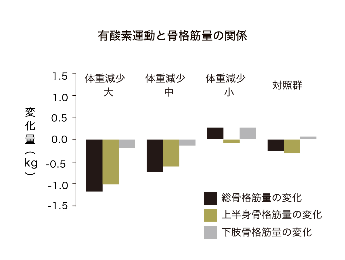 有酸素運動と骨格筋量の関係