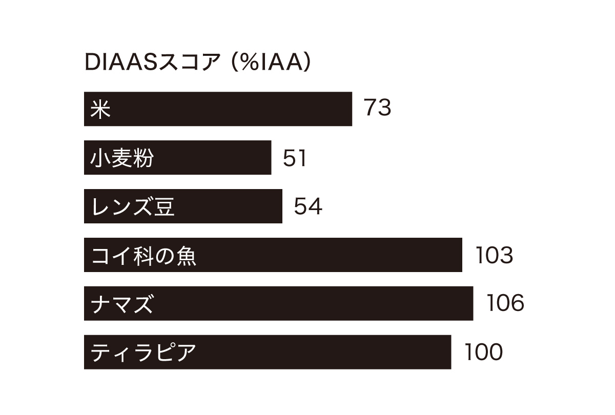 DIAASスコア