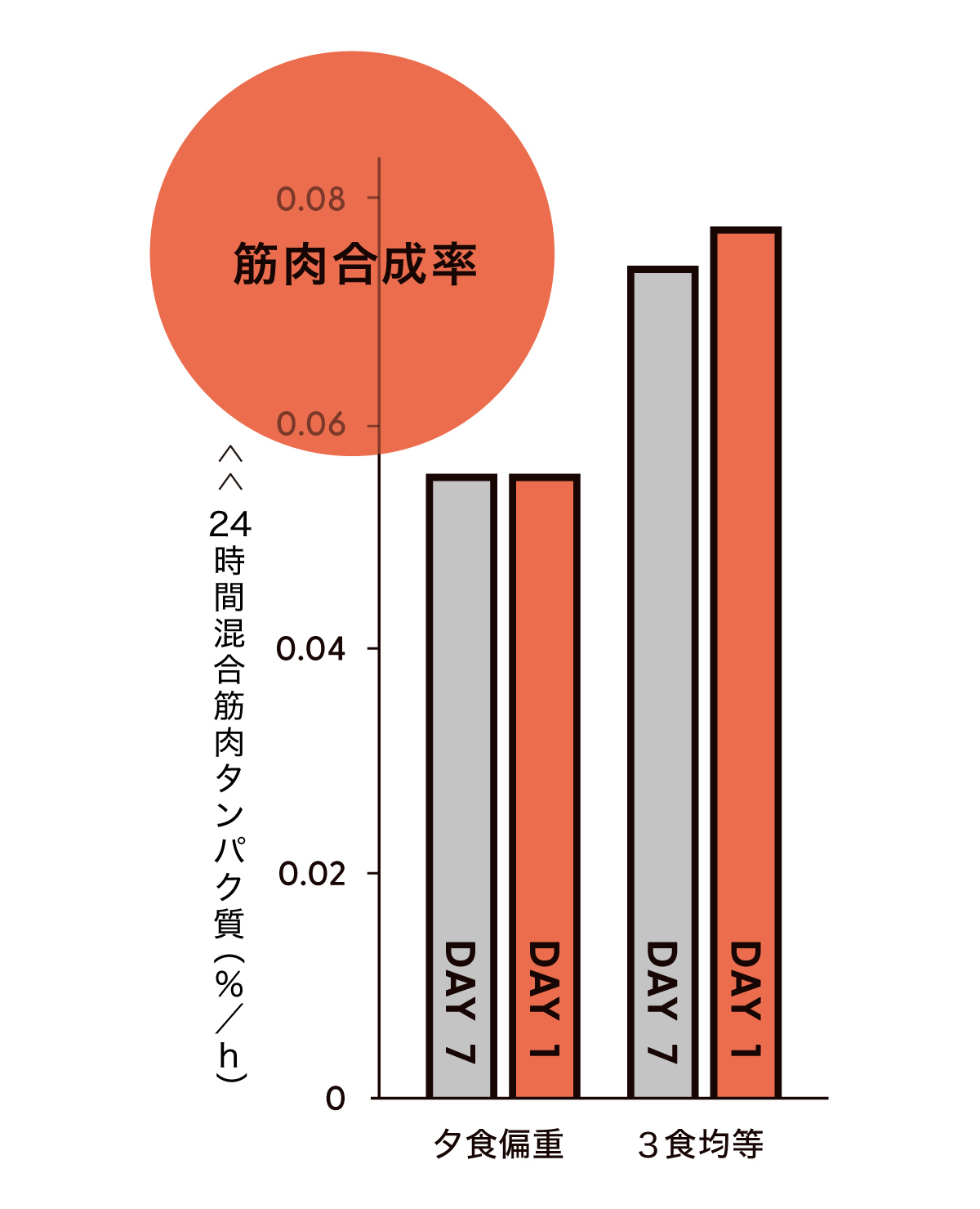 筋肉合成率