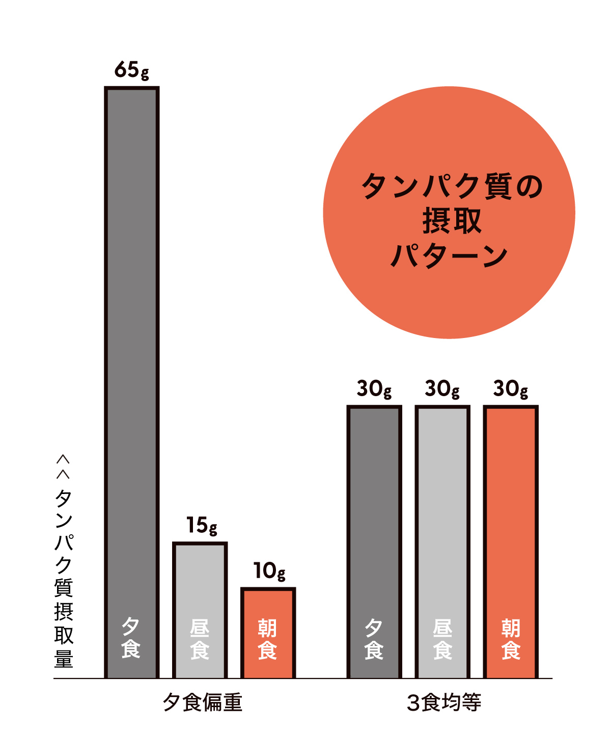 タンパク質摂取パターン