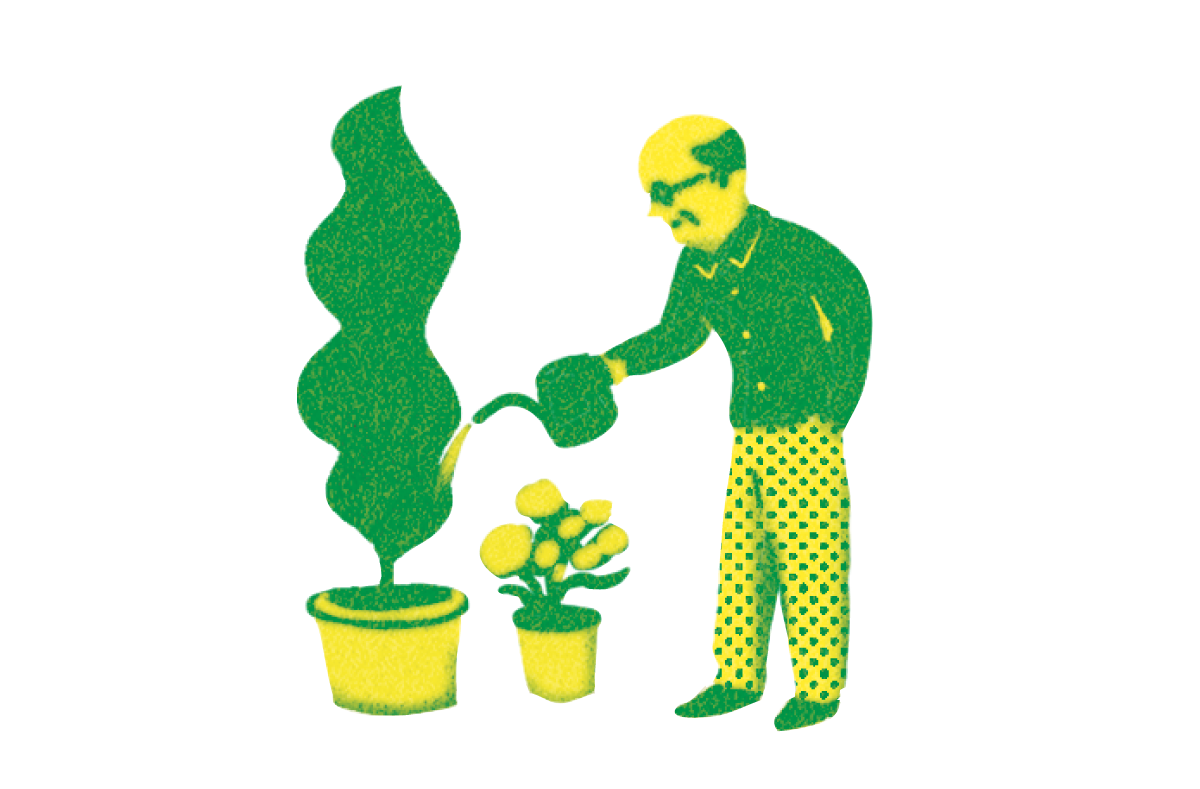植物への水やり