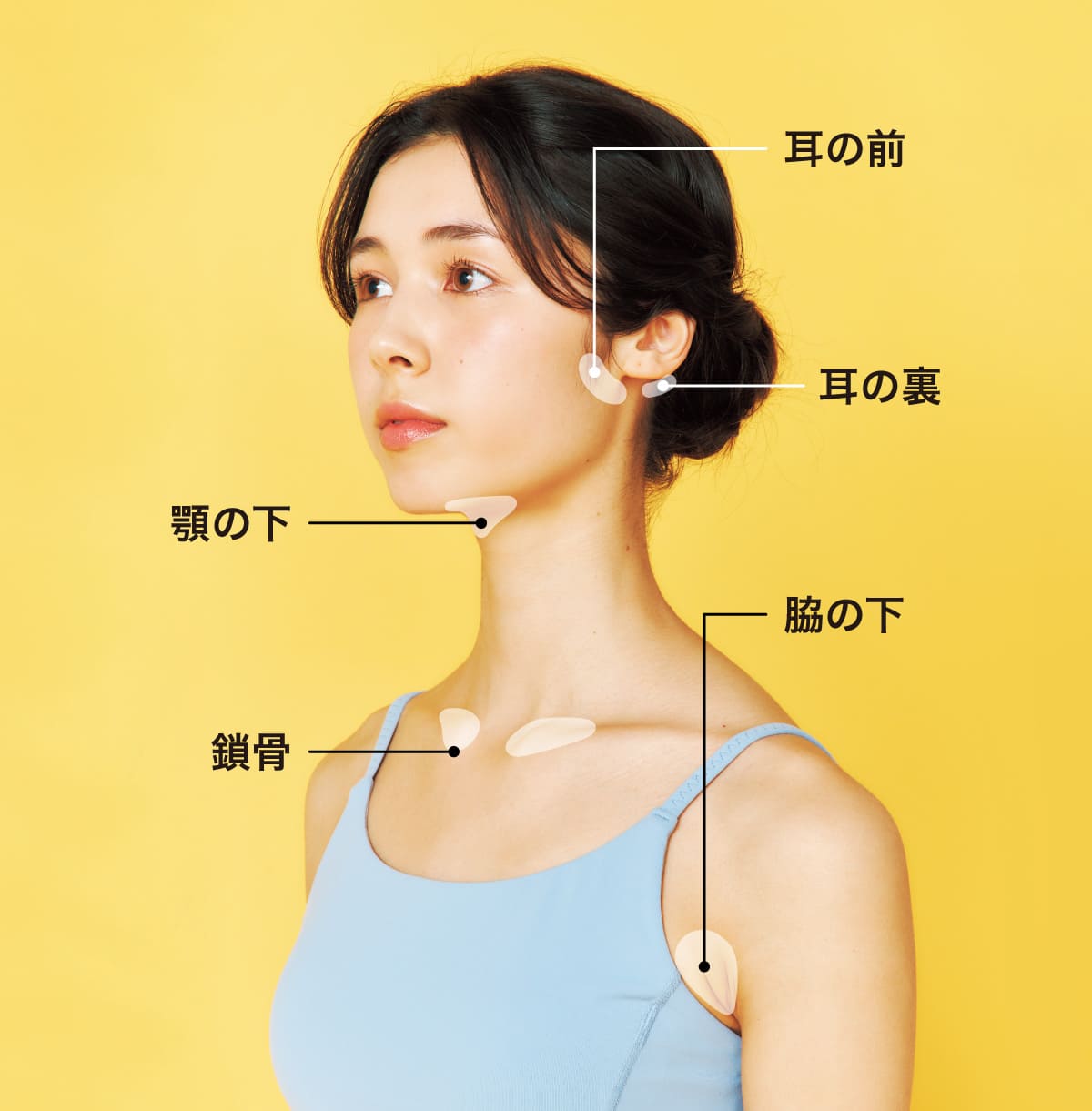 リンパの箇所