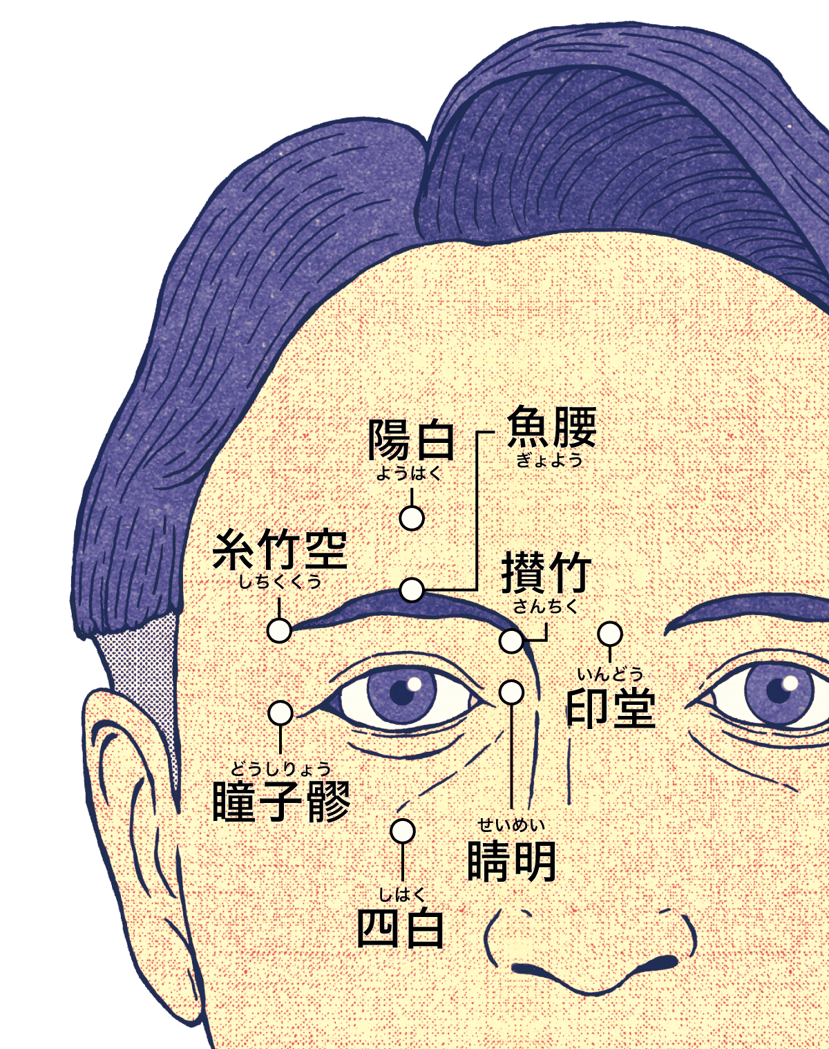 目のまわりツボ