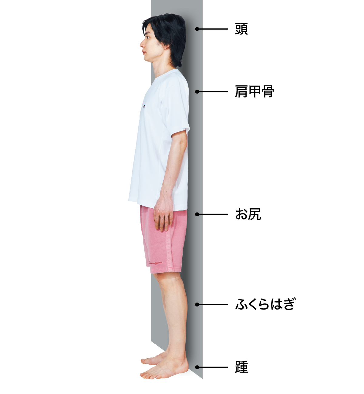 テスト1