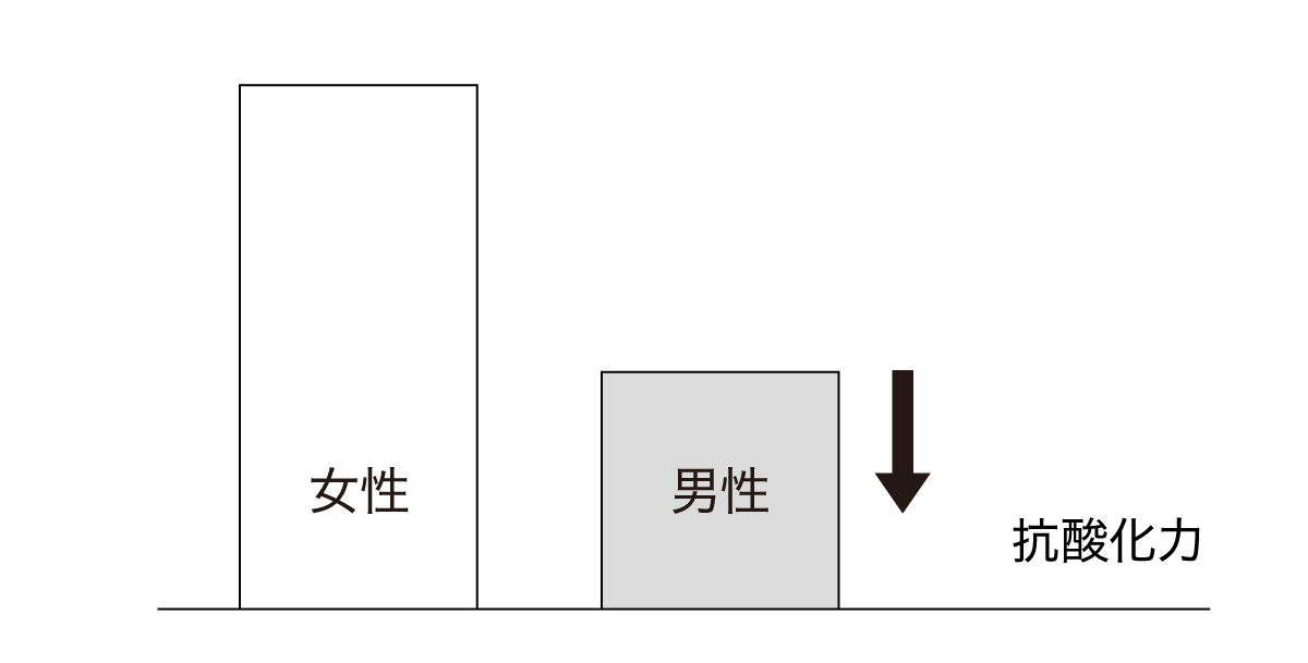 男の肌は酸化ストレスを受けやすい