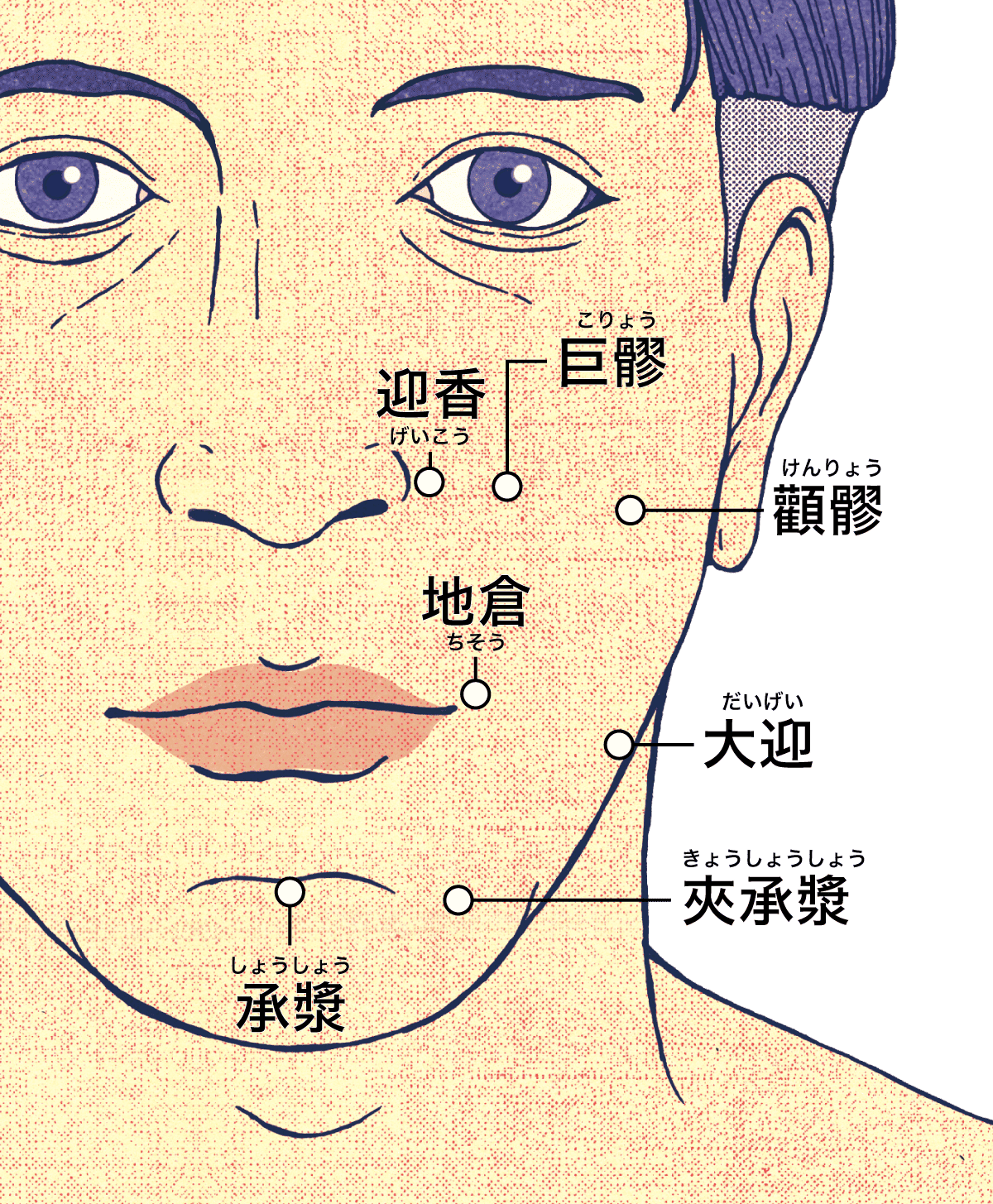 口周りツボ