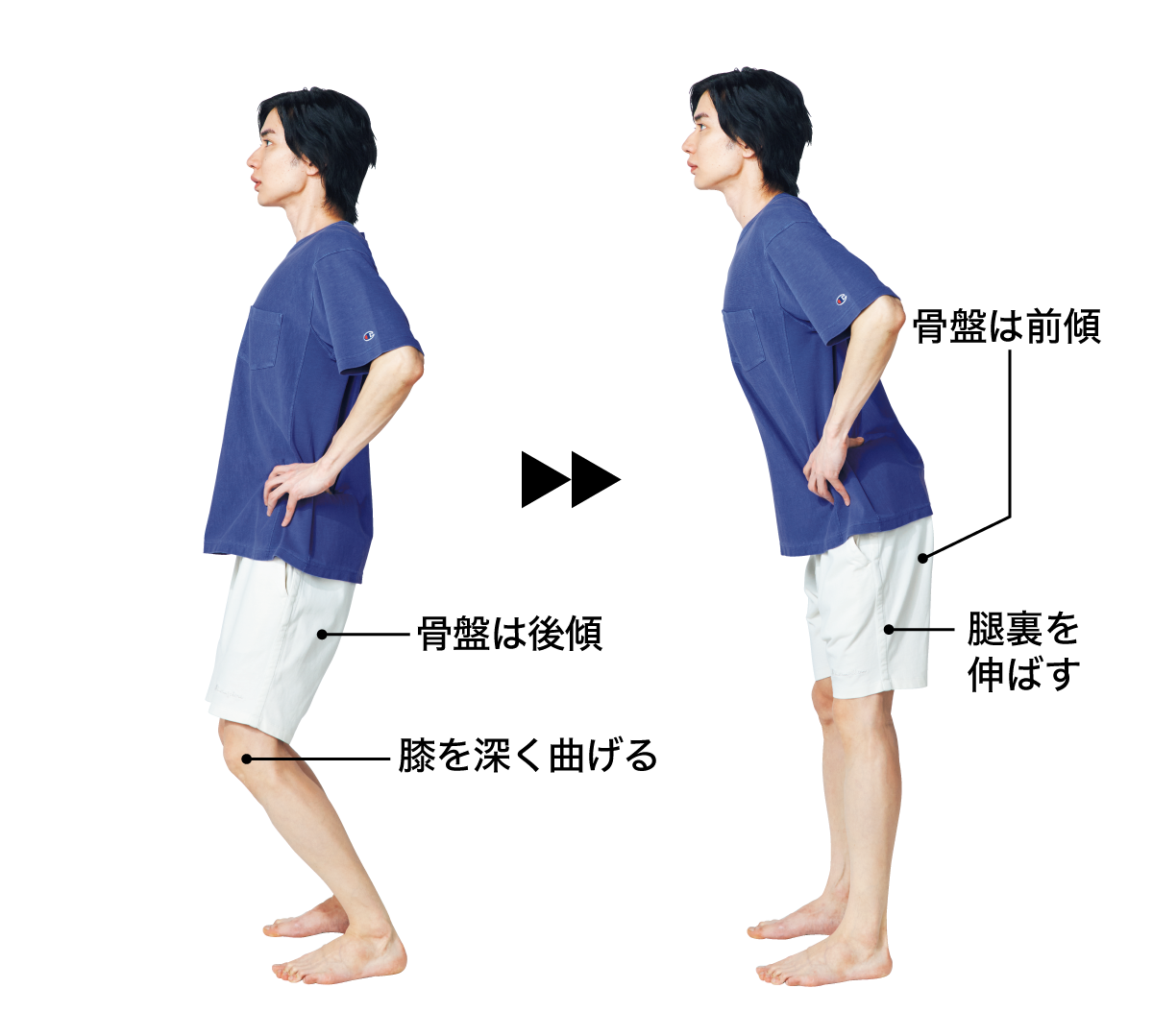 骨盤を動かす