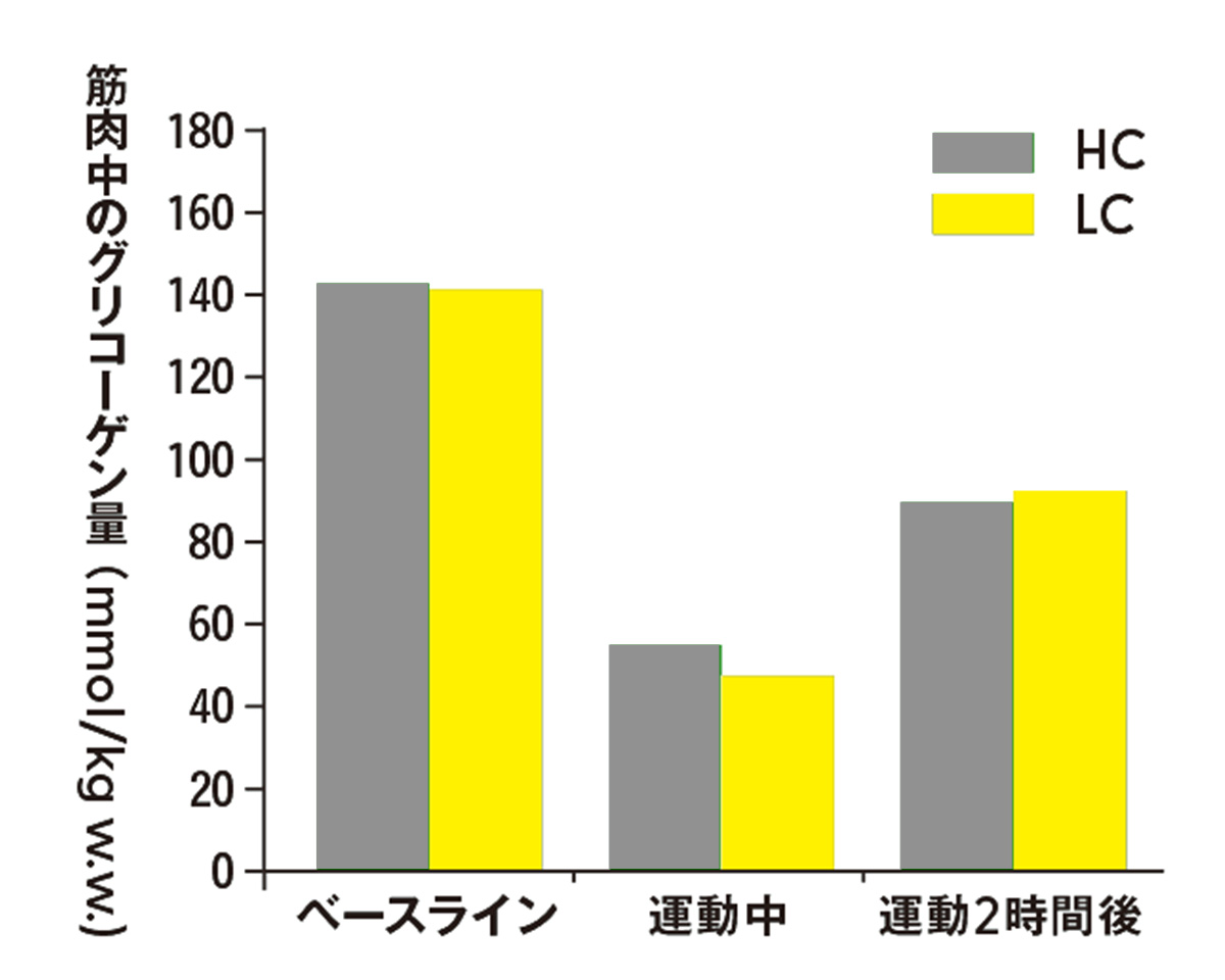 筋グリコーゲン量の違い