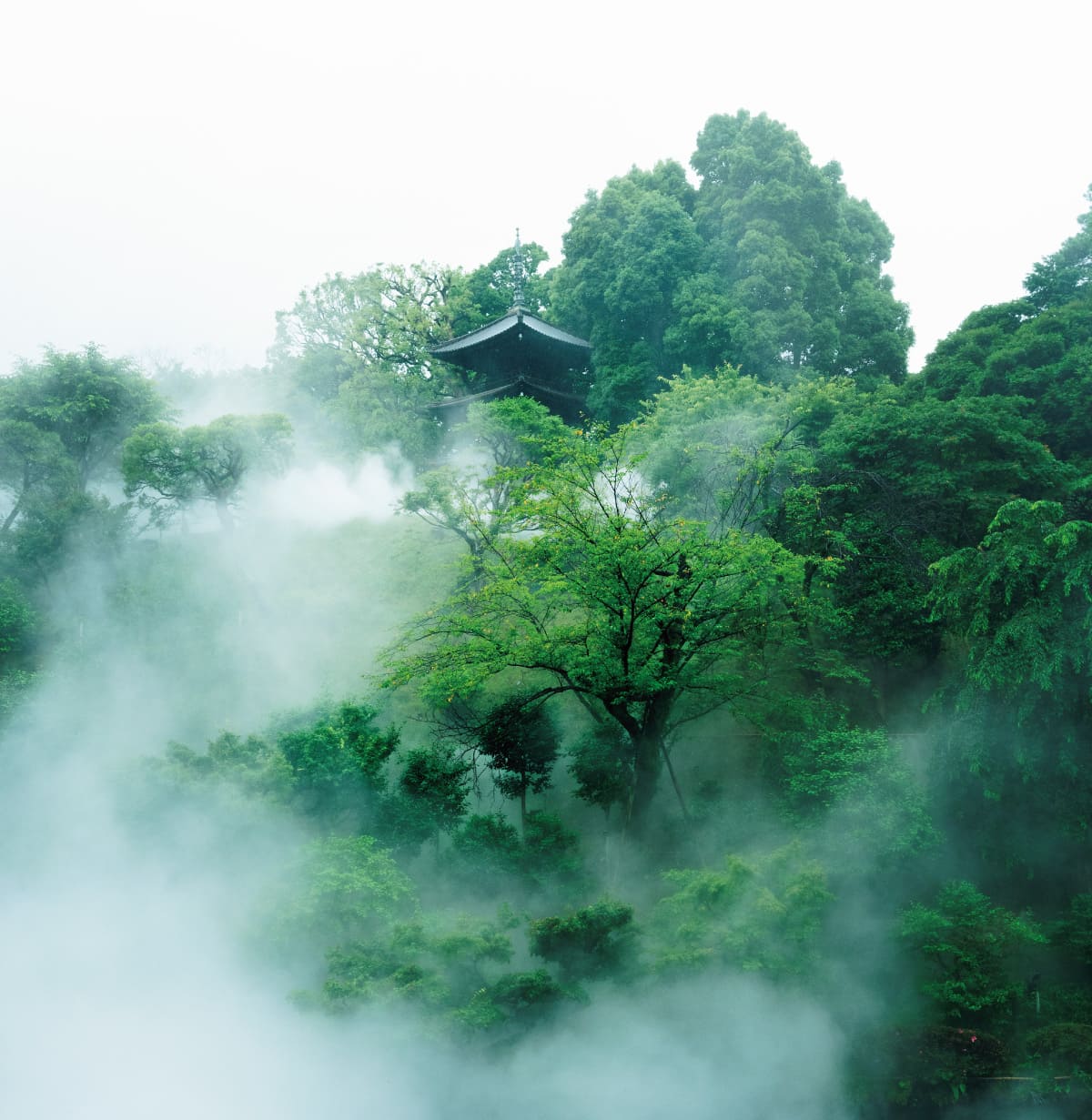 椿山荘　雲海スプラッシュ