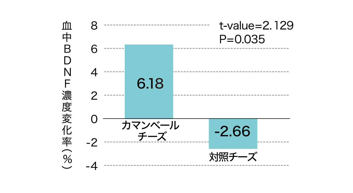 チーズの摂取によるBDNF量の変化