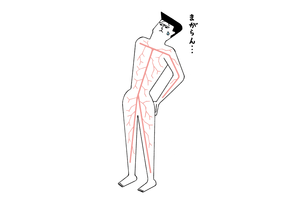 筋トレで硬くなる血管はストレッチで柔らかくする