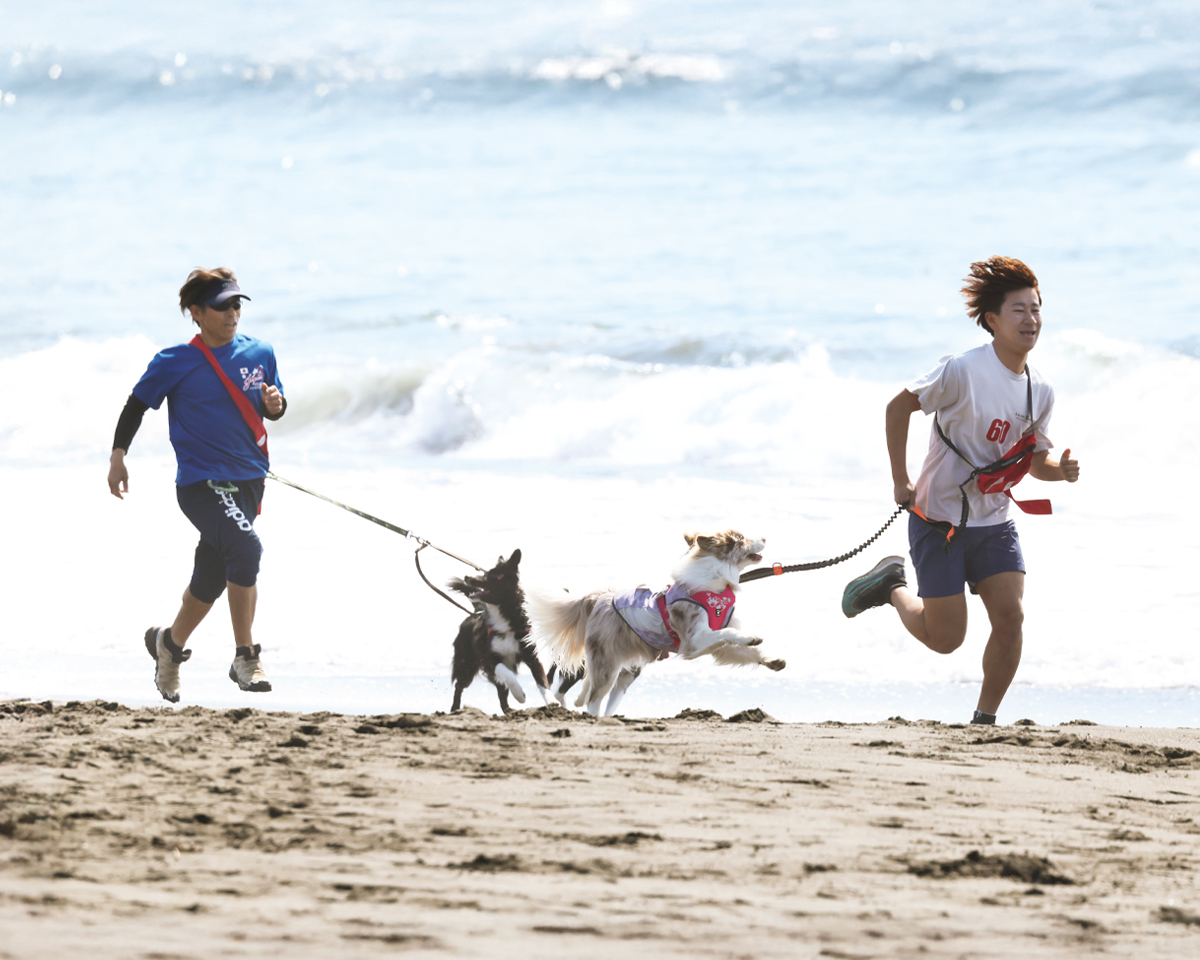 ランも愛犬と一緒に。新スポーツ・カニクロス。