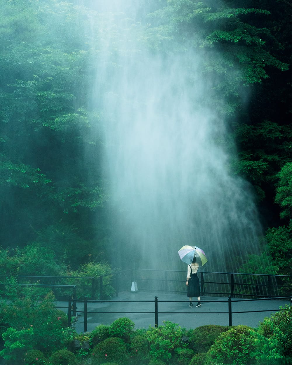 庭園で涼を楽しむ、雲海スプラッシュ。