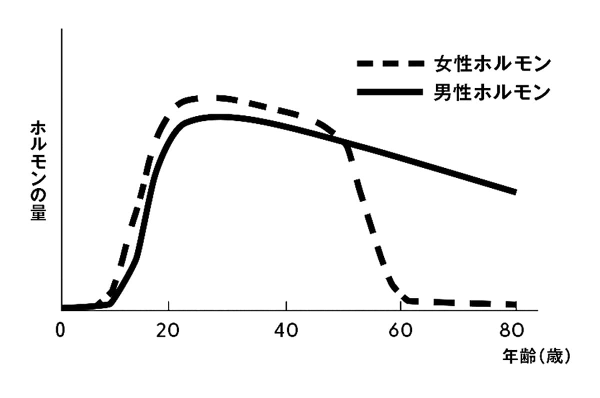 男女の性ホルモンの加齢変化