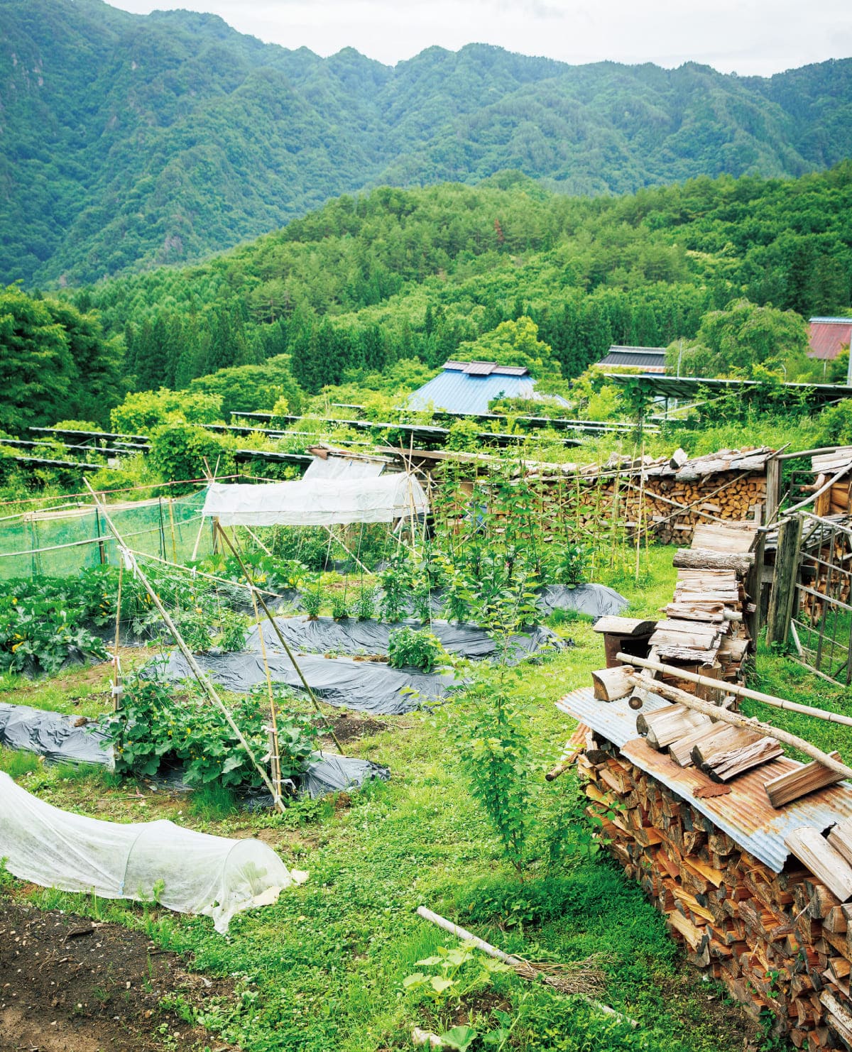 薬草ワークショップ