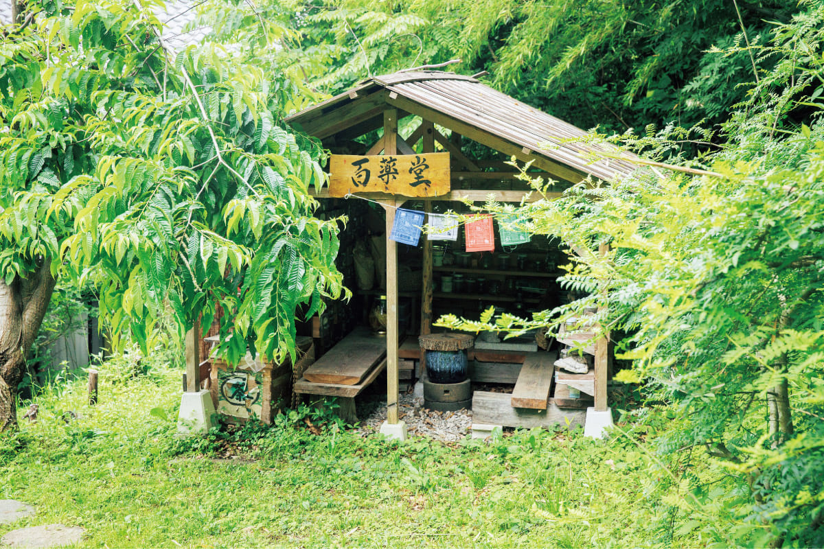 〈森のくすり塾〉