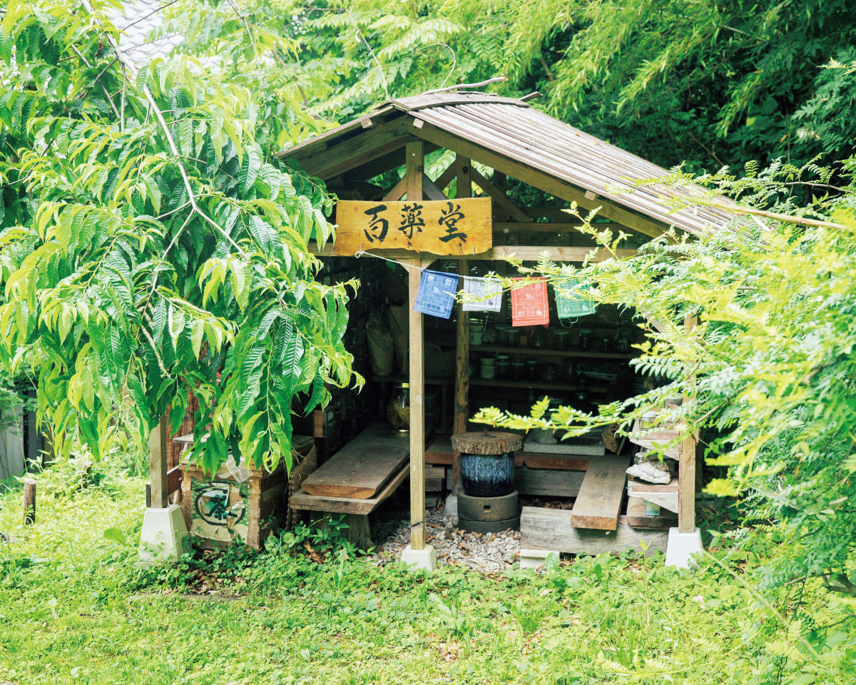 薬草は「まあまあ役に立つ」で良い？ワークショップに参加して。