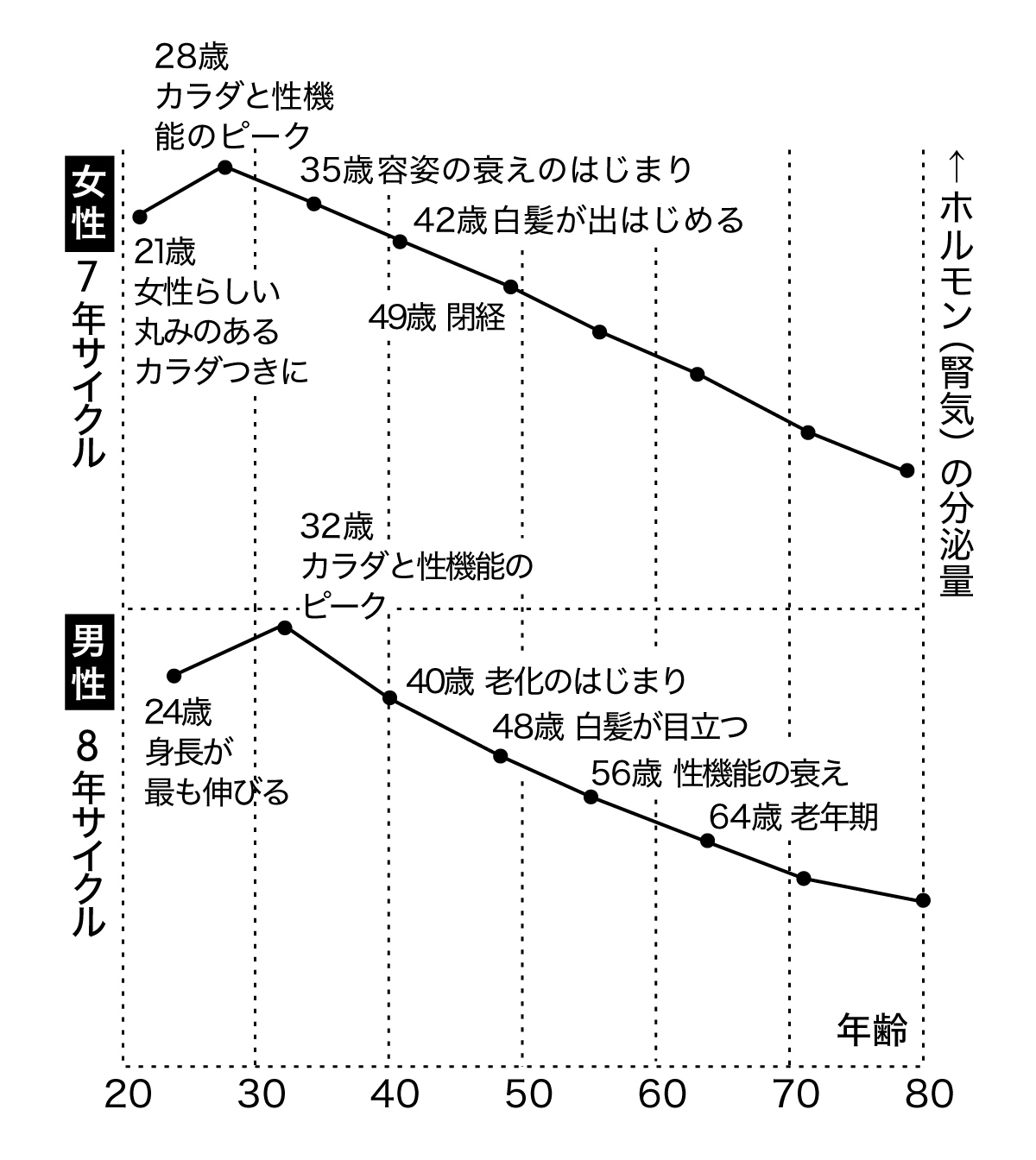 女性と男性のカラダの変化