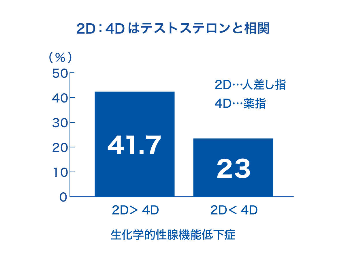 テストステロンの相関図