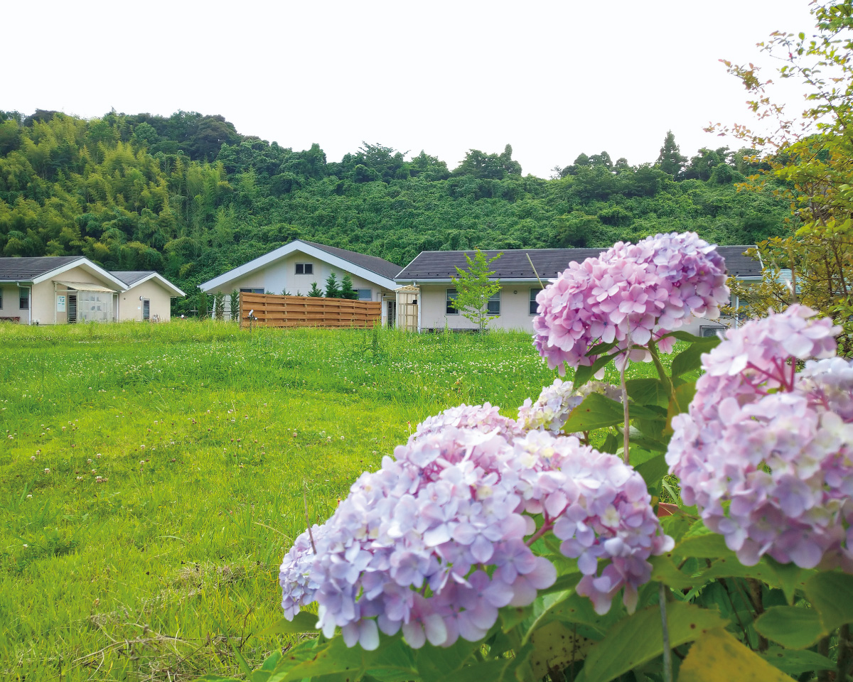 〈ヴィパッサナー瞑想センター〉